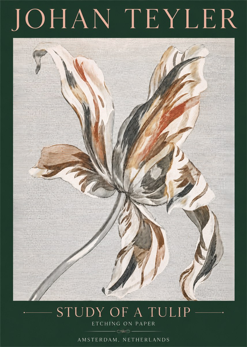 Johan Teyler Study of a Tulip No4 - Póster