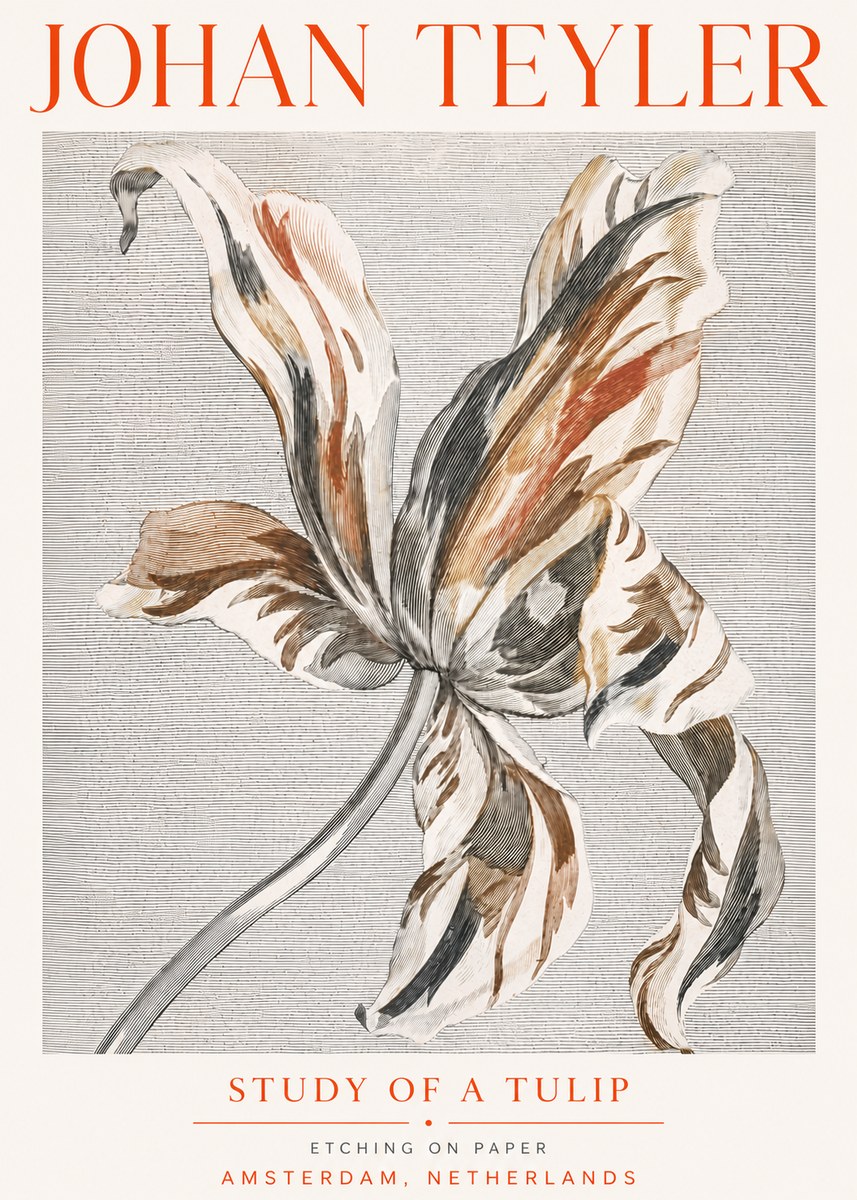 Johan Teyler Study of a Tulip No5 - Póster