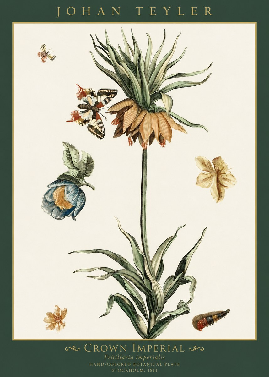 Johan Teyler Crown Imperial No1 - Póster
