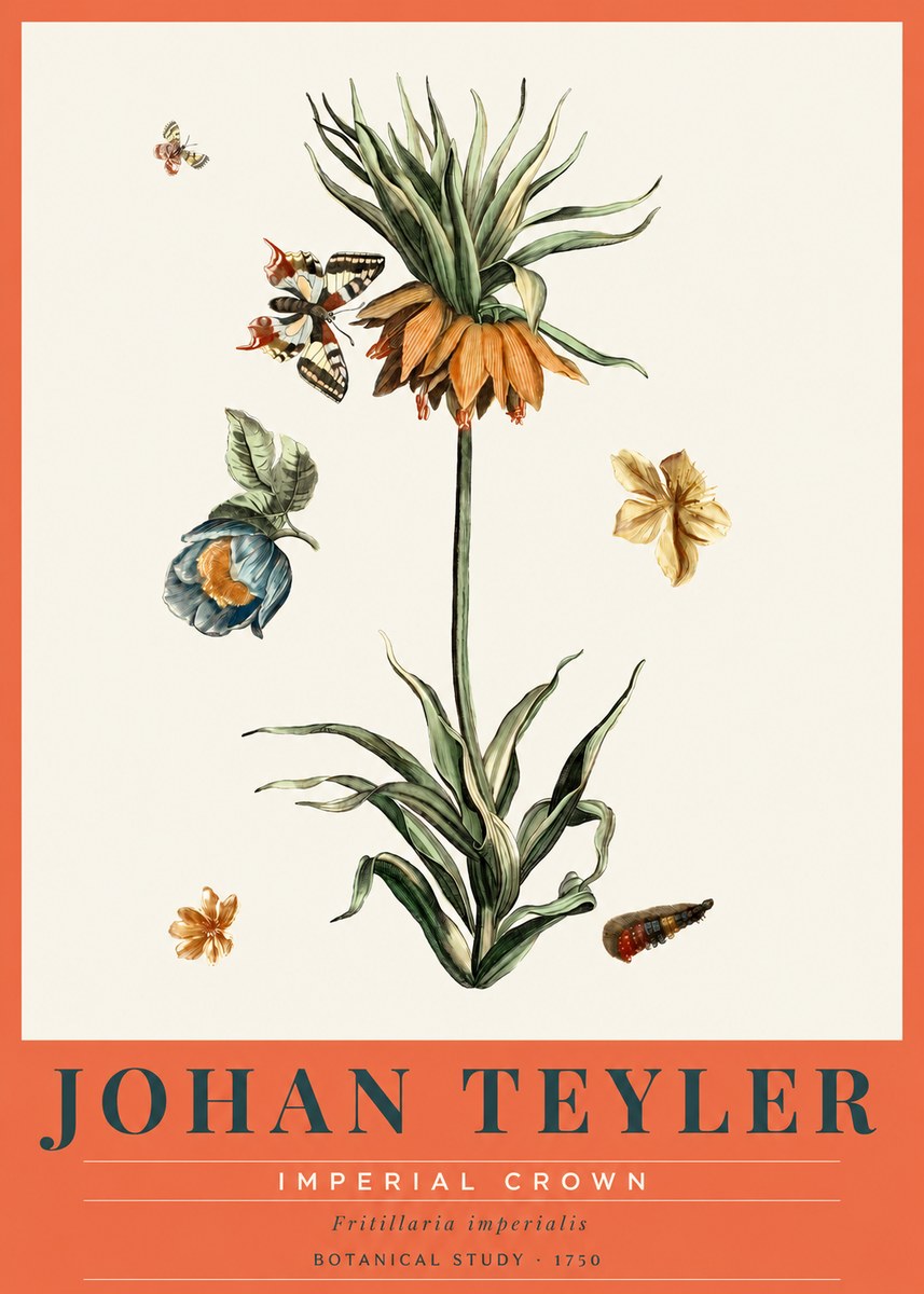 Johan Teyler Crown Imperial No3 - Póster
