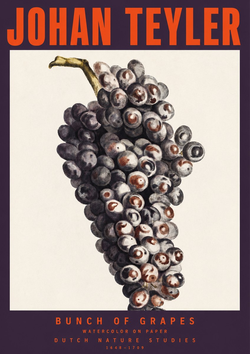 Johan Teyler Bunch of Grapes No2 - Póster