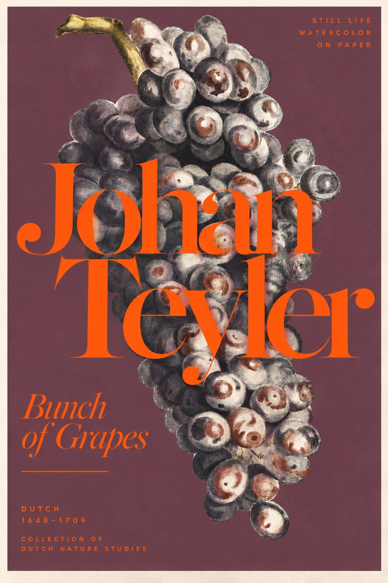 Johan Teyler Bunch of Grapes No3 - Póster