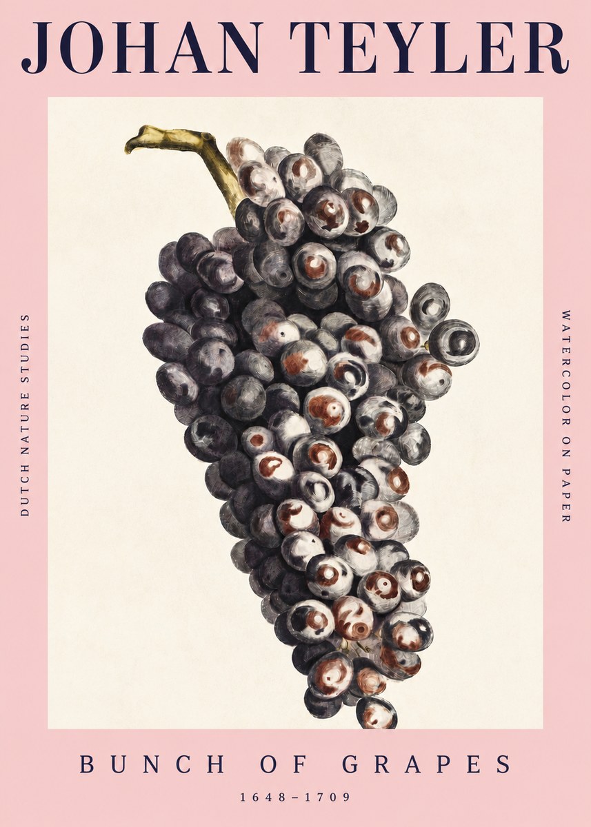 Johan Teyler Bunch of Grapes No4 - Póster