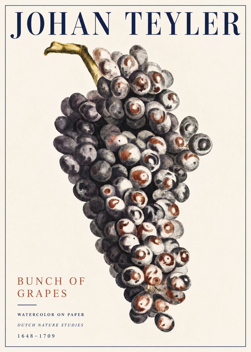 Johan Teyler Bunch of Grapes No5 - Póster