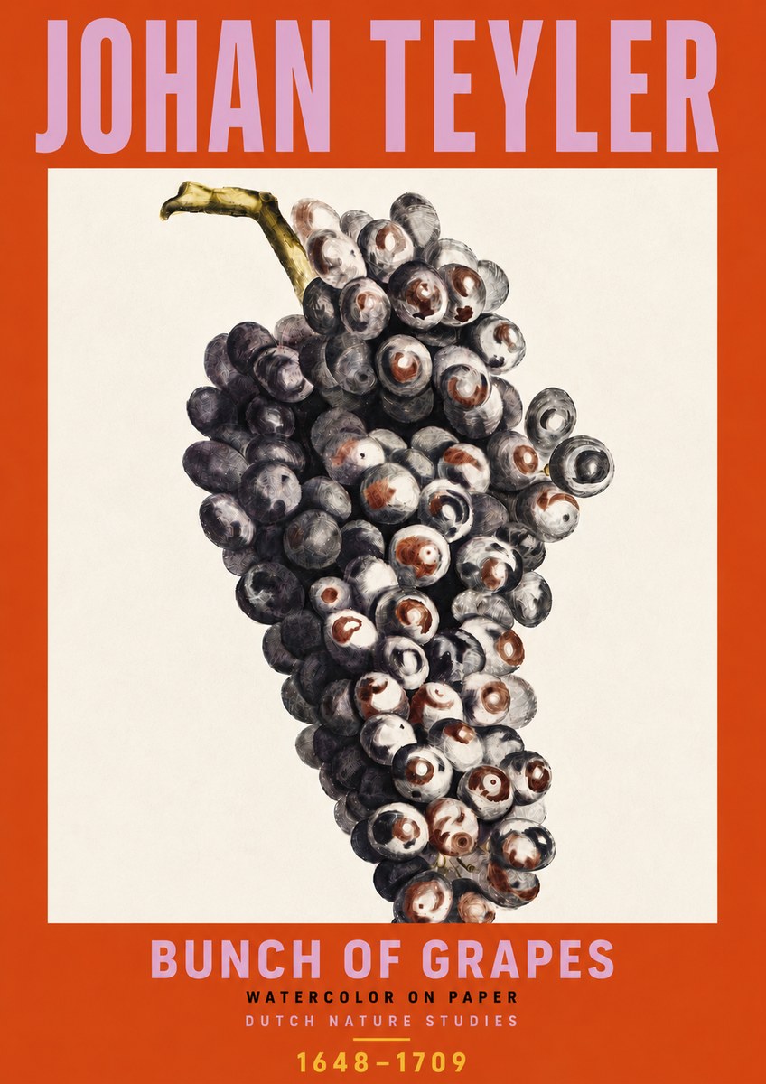 Johan Teyler Bunch of Grapes No6 - Póster