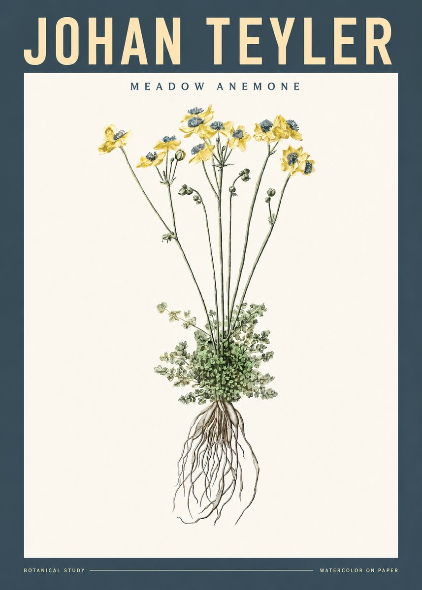 Johan Teyler Meadow Anemone No2 - Póster