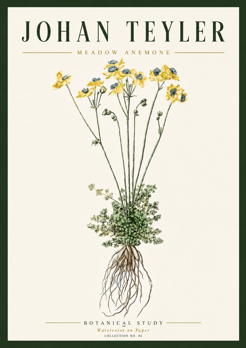 Johan Teyler Meadow Anemone No6 - Póster