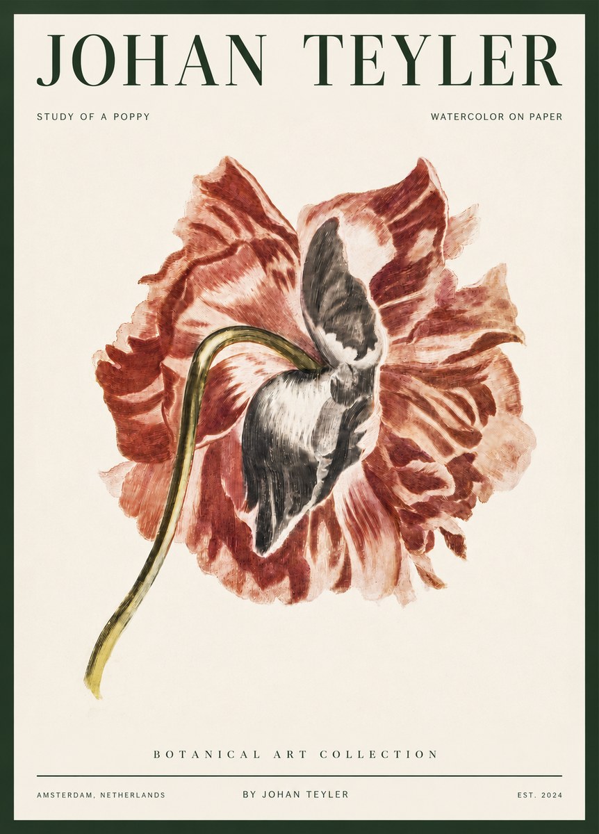 Johan Teyler Study of a Poppy No3 - Póster