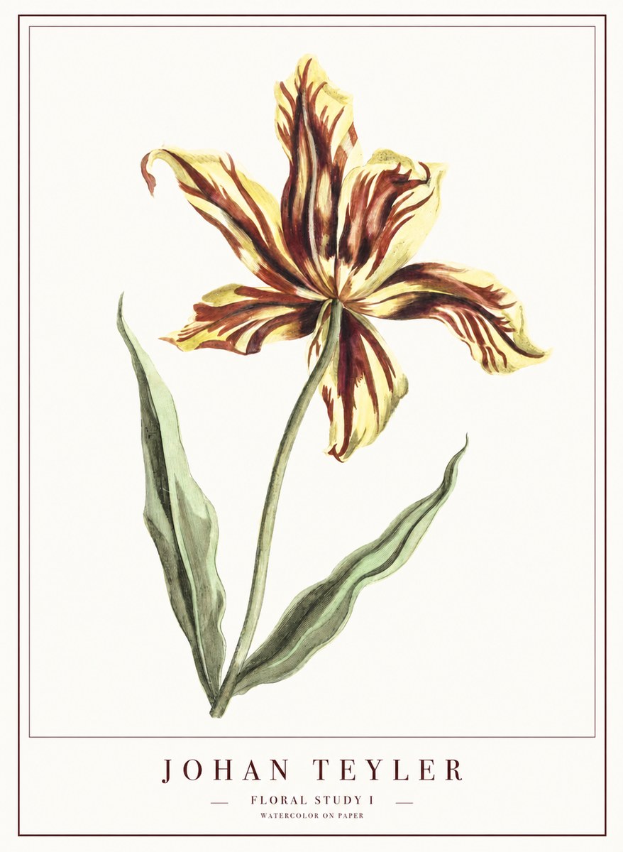 Johan Teyler Floral Study I No1 - Póster