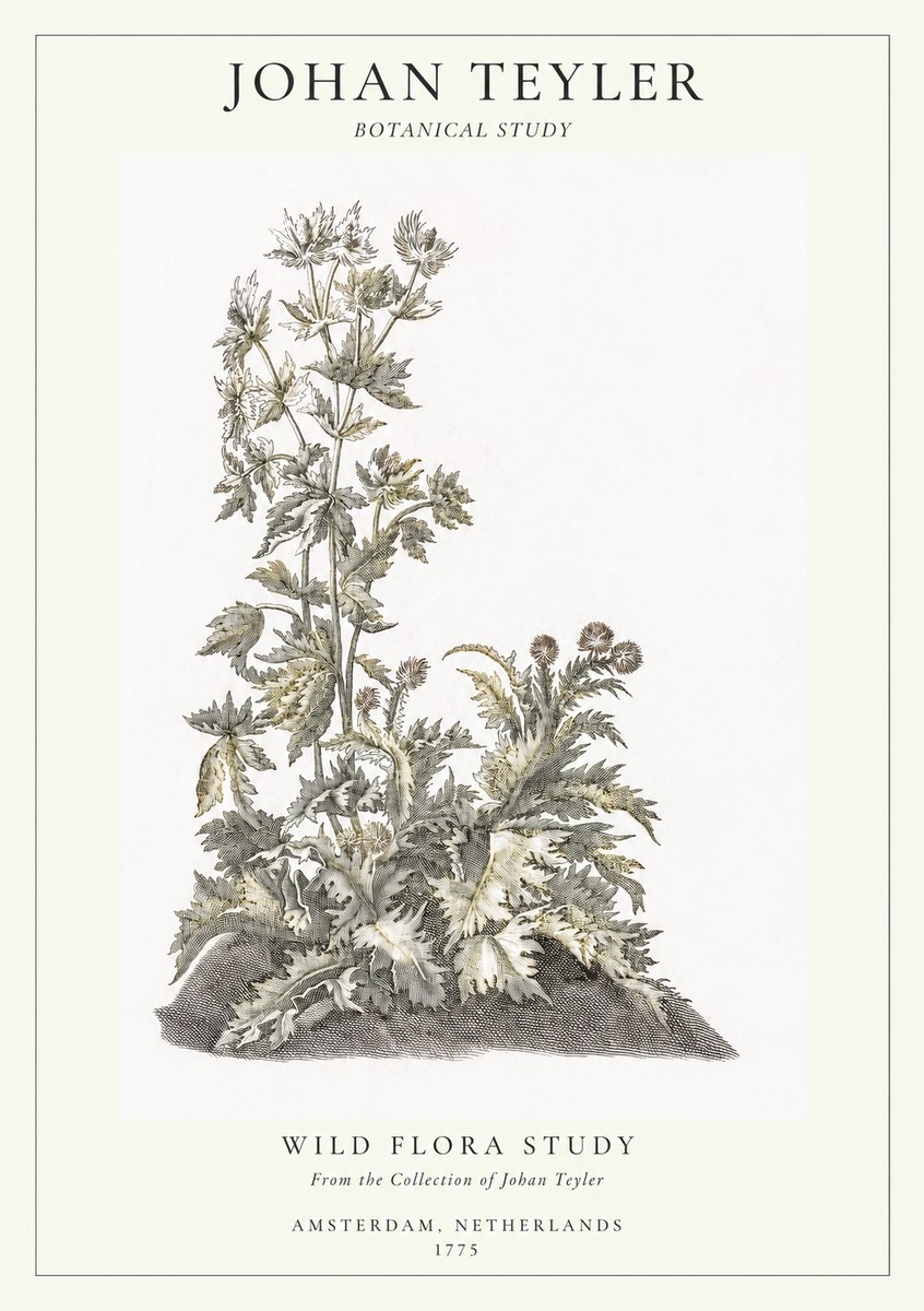 Johan Teyler Wild Flora Study No1 - Póster