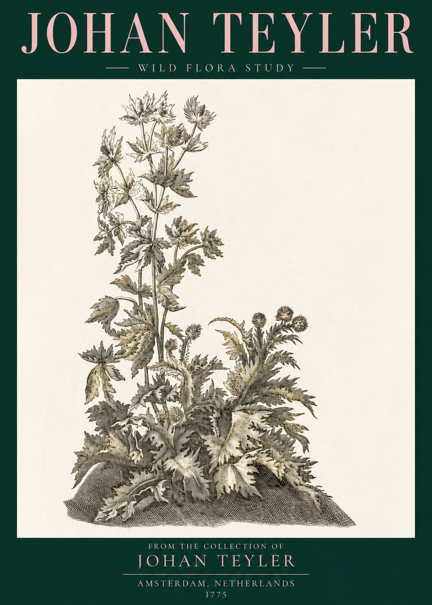Johan Teyler Wild Flora Study No3 - Póster