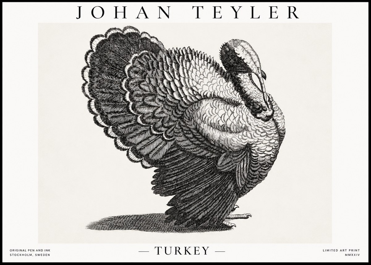 Johan Teyler Turkey No1 - Póster