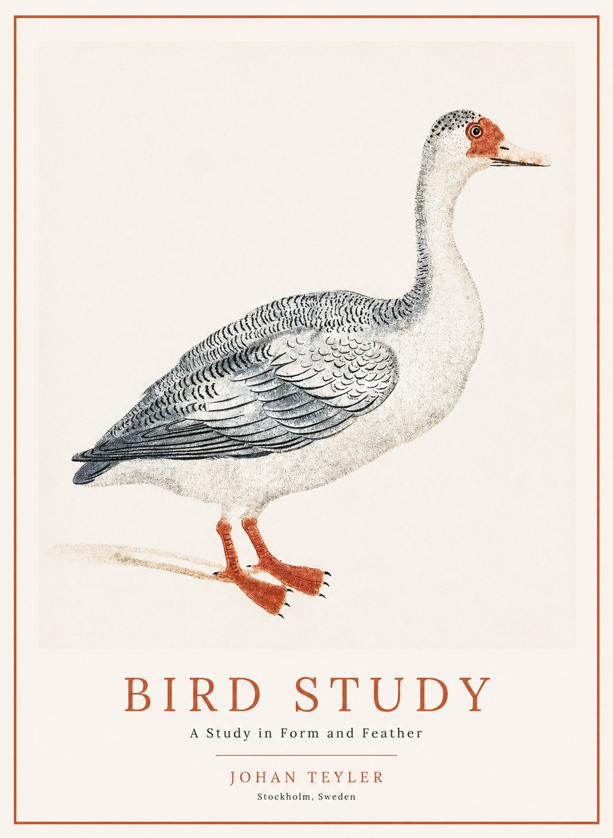 Johan Teyler Goose Study No2 - Póster