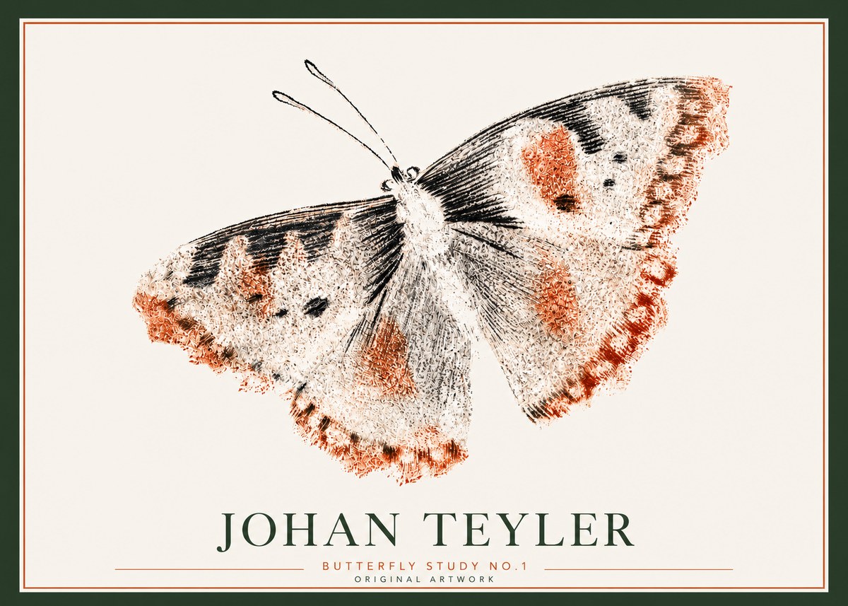 Johan Teyler Butterfly Study No.1 No3 - Póster