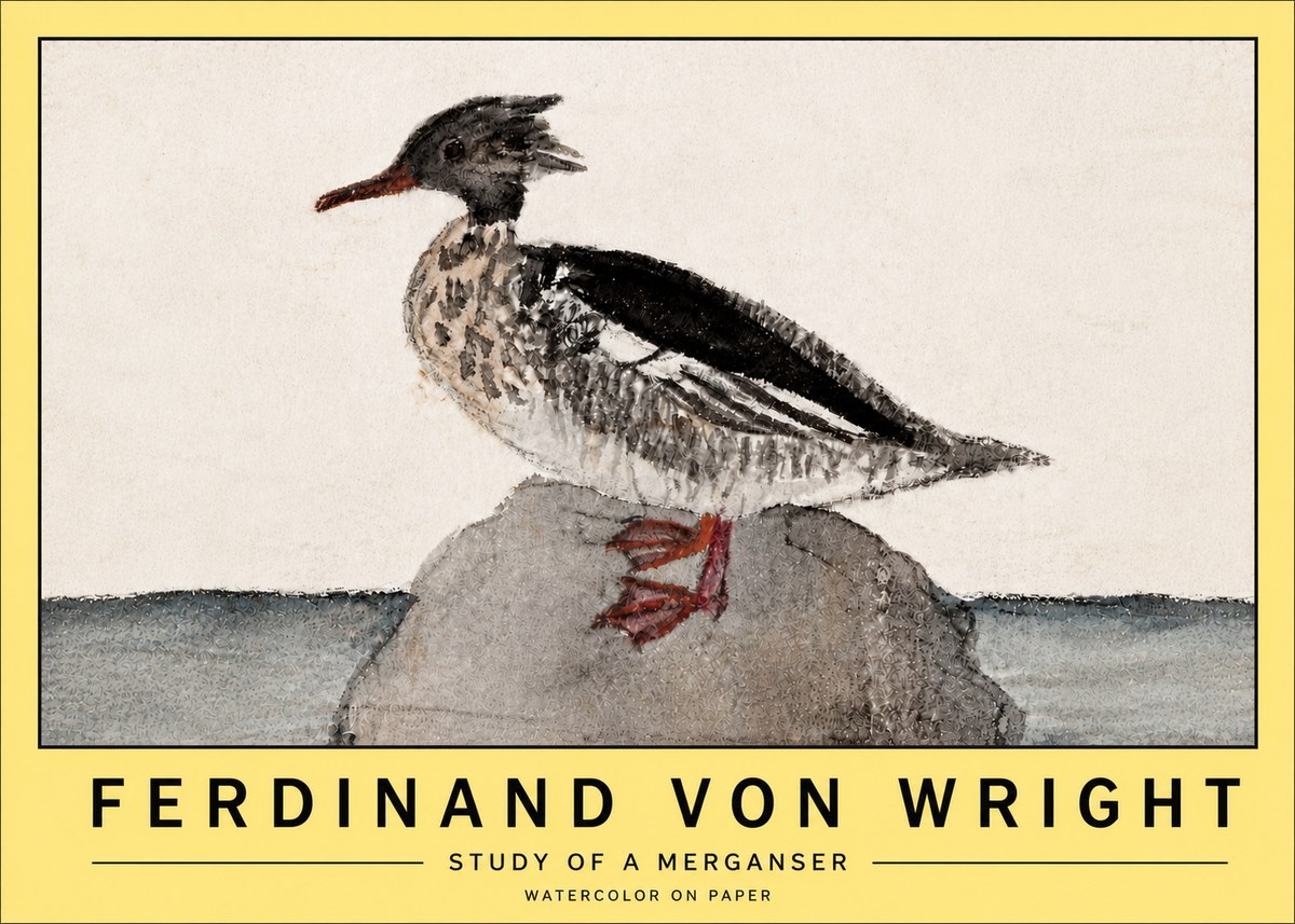 Ferdinand von Wright Study of a Merganser No5 - Póster