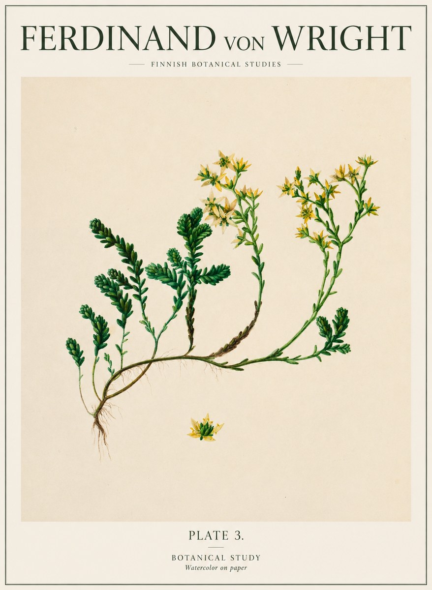 Ferdinand von Wright Botanical Study No1 - Póster