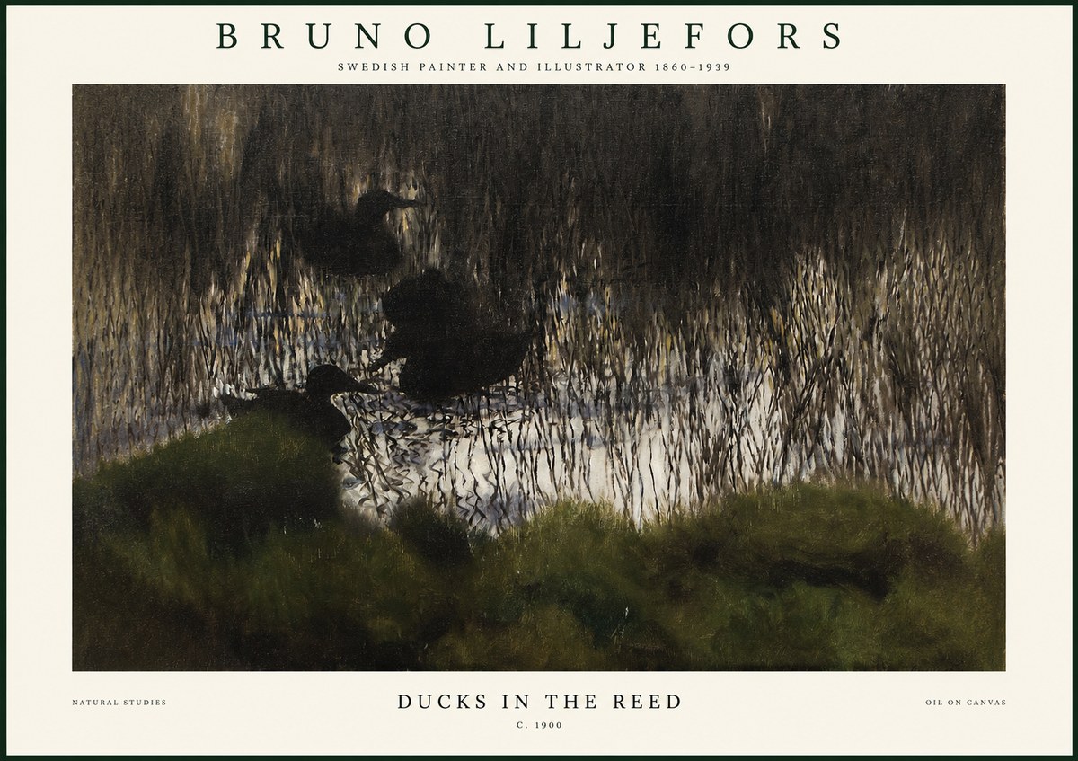 Bruno Liljefors Ducks in the Reed No1 - Póster