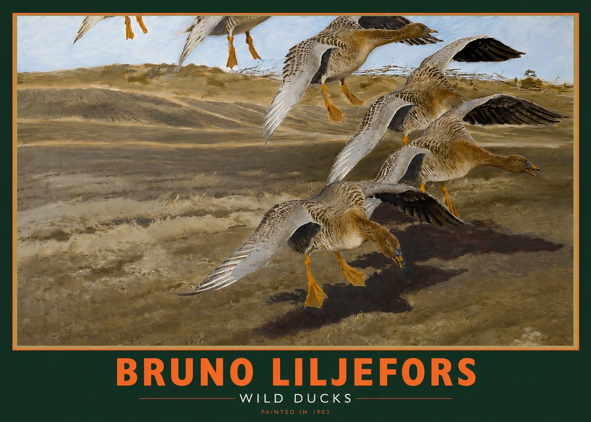Bruno Liljefors Wild Ducks I No2 - Póster