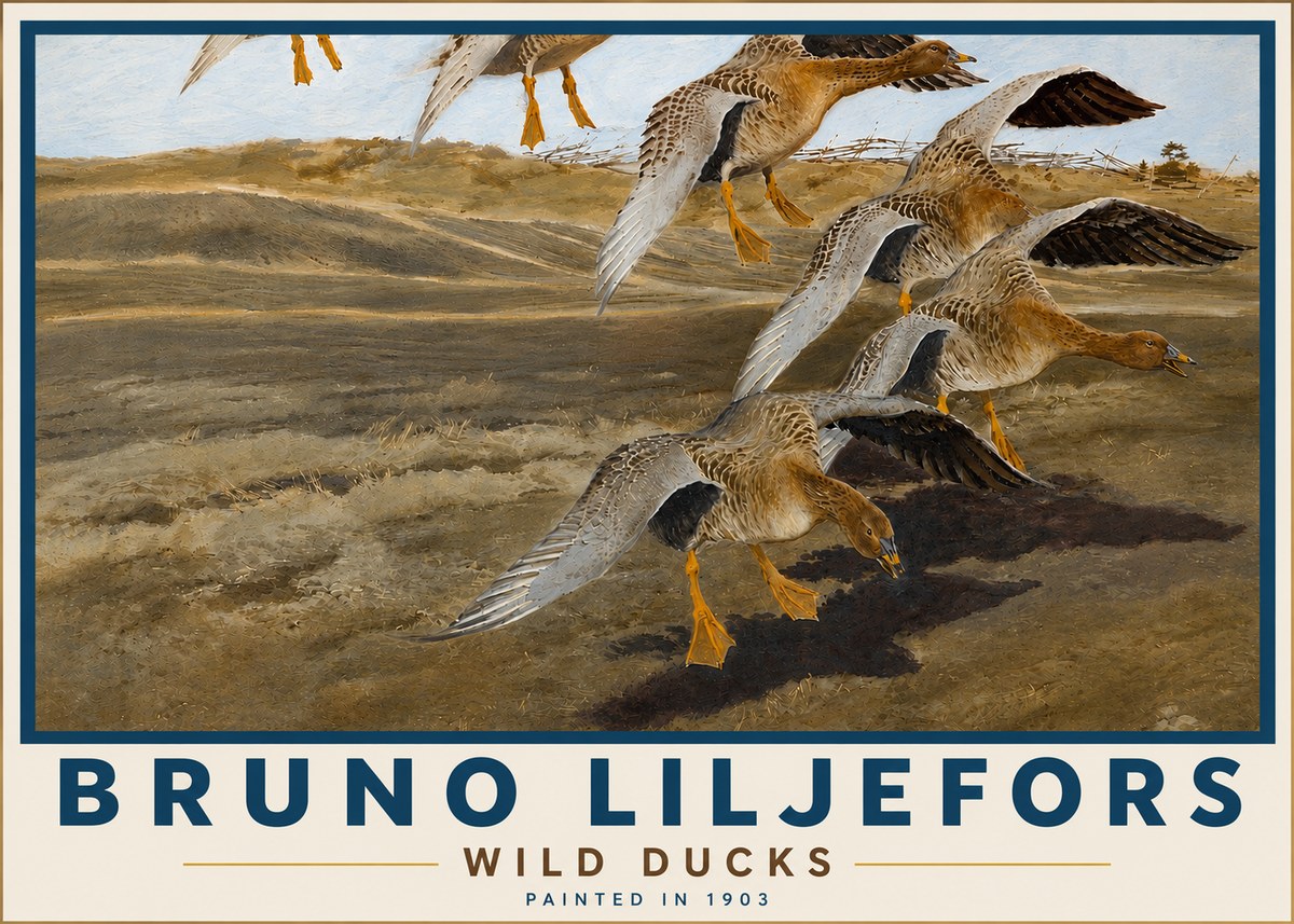 Bruno Liljefors Wild Ducks I No5 - Póster