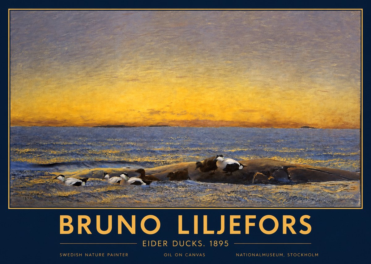 Bruno Liljefors Eider Ducks. 1895 No2 - Póster