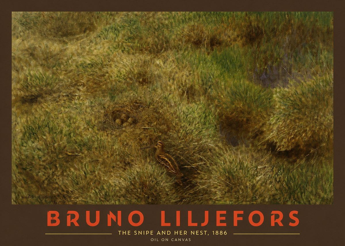 Bruno Liljefors The Snipe and Her Nest No2 - Póster