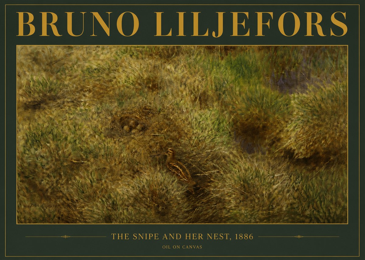 Bruno Liljefors The Snipe and Her Nest No4 - Póster