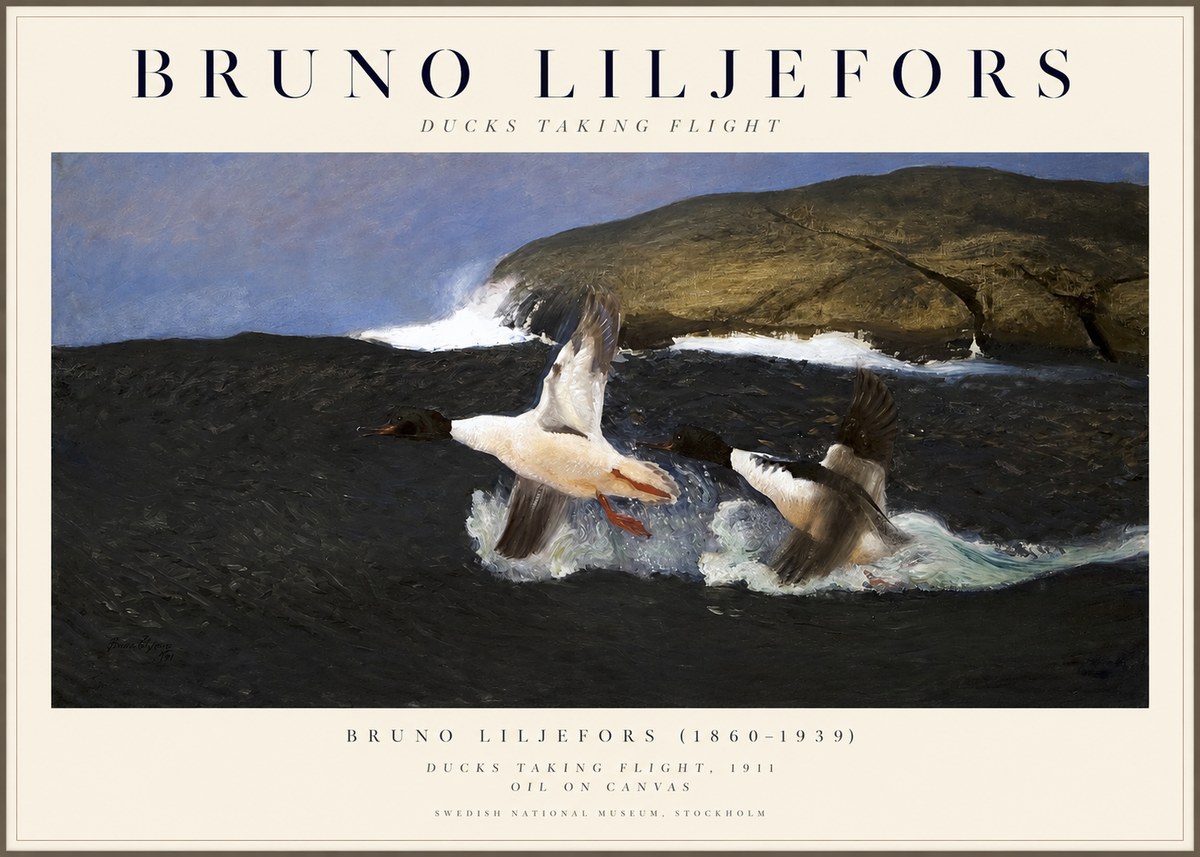 Bruno Liljefors Ducks Taking Flight No1 - Póster