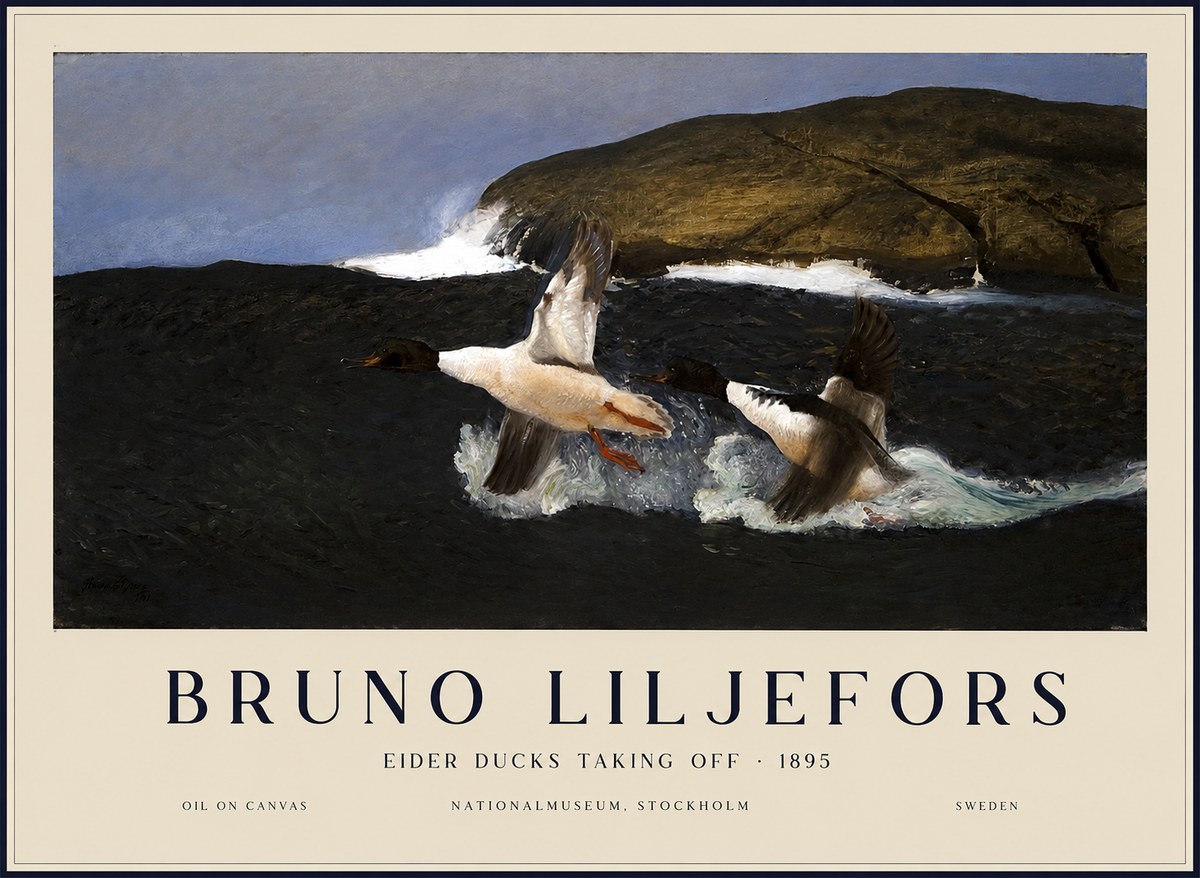 Bruno Liljefors Ducks Taking Flight No3 - Póster