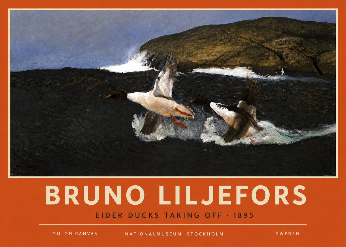 Bruno Liljefors Ducks Taking Flight No6 - Póster