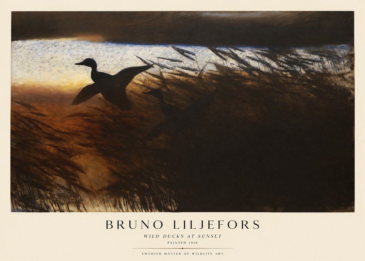 Bruno Liljefors Wild Ducks II No5 - Póster