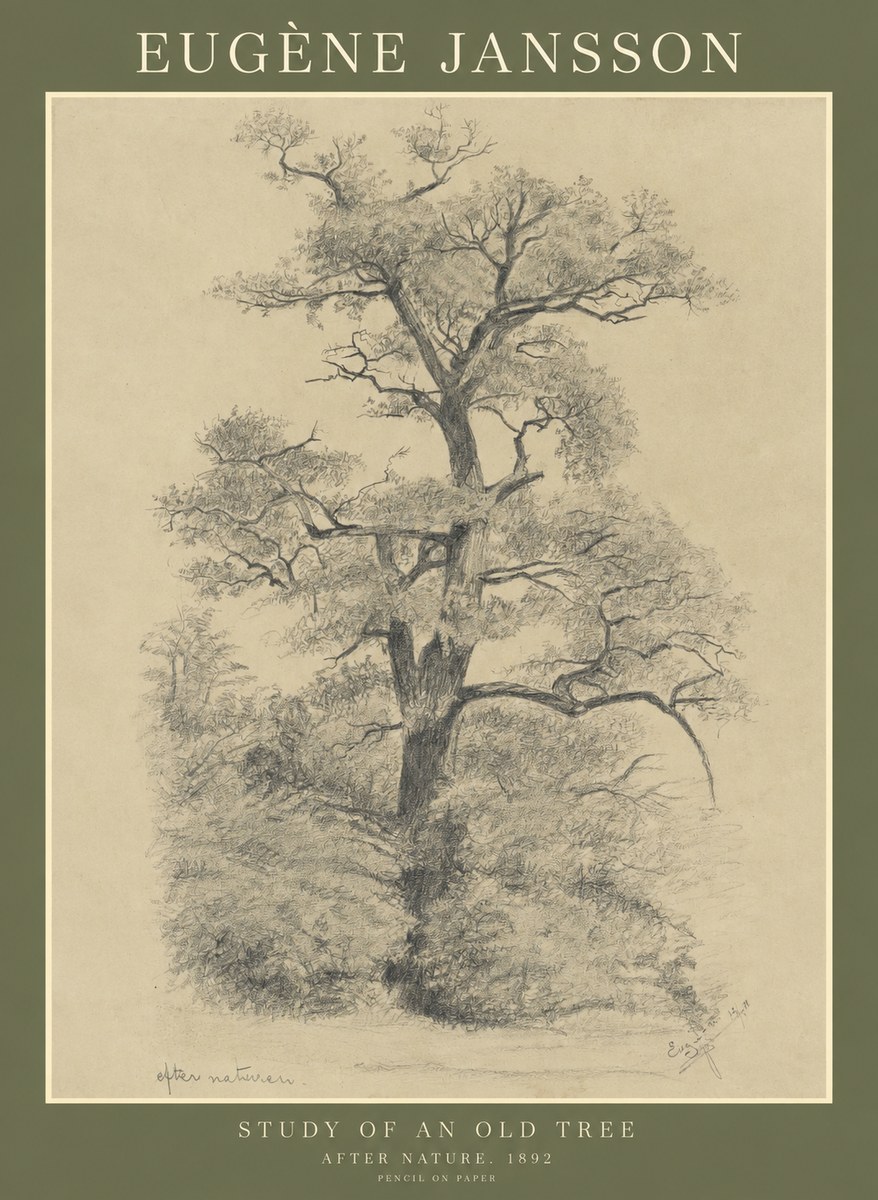 Eugène Jansson Study of an Old Tree No1 - Póster