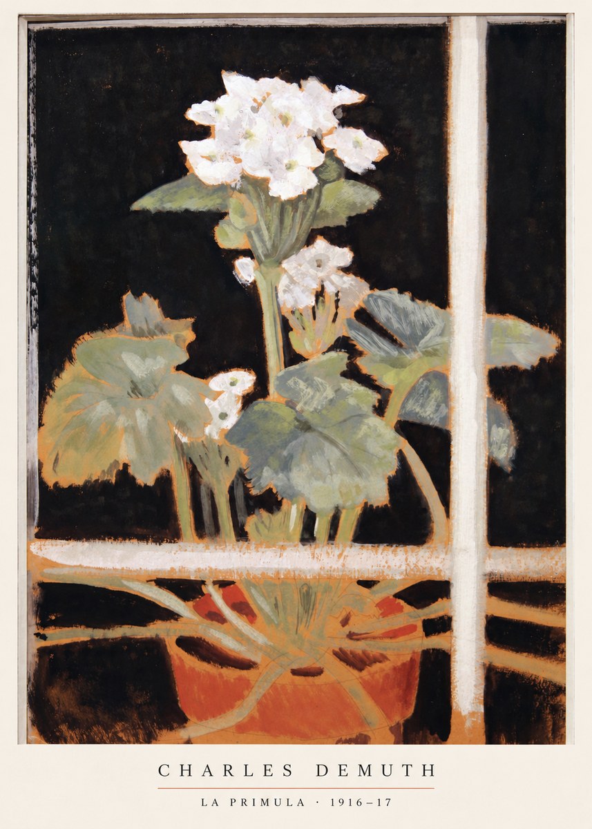 Charles Demuth La Primula No6 - Póster