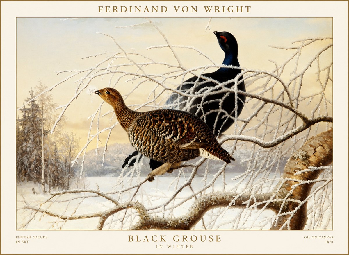Ferdinand von Wright Black Grouse in Winter No1 - Póster