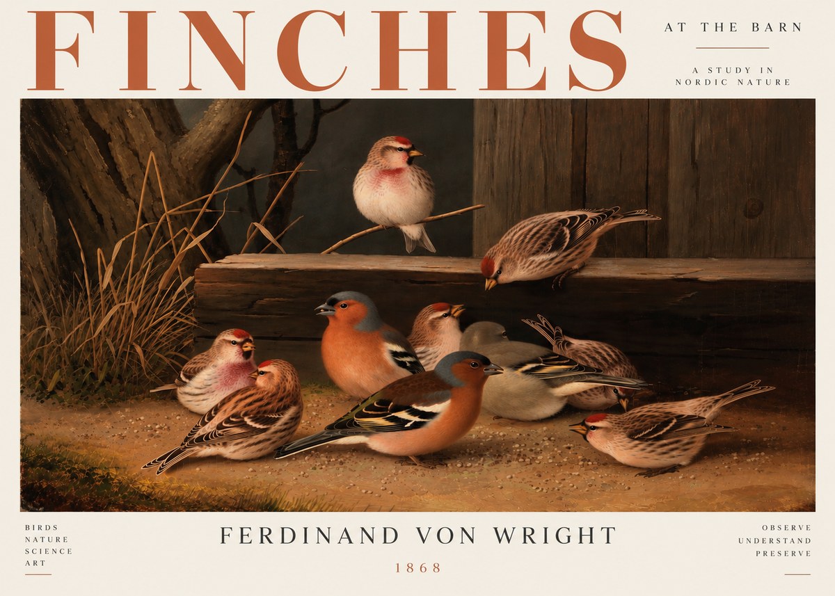Ferdinand von Wright Finches No5 - Póster