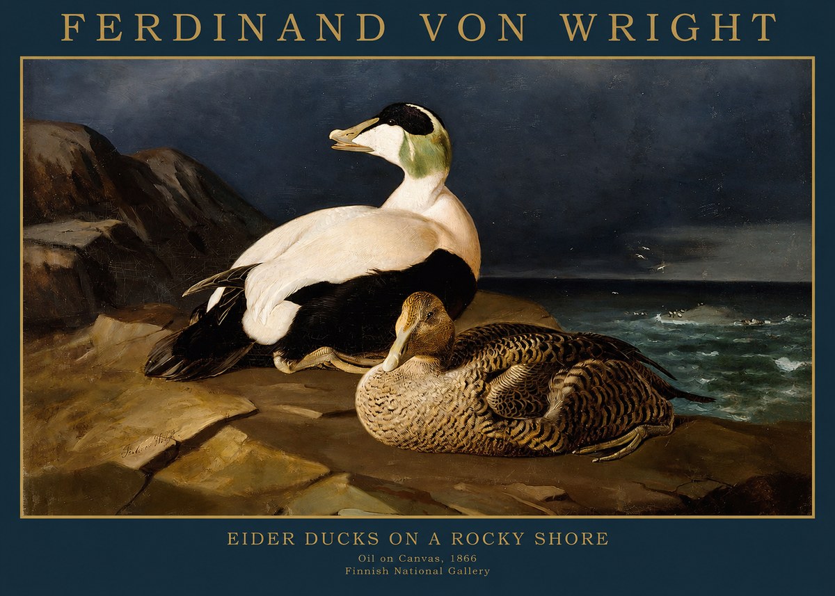 Ferdinand von Wright Eiders on a Rocky Shore No2 - Póster