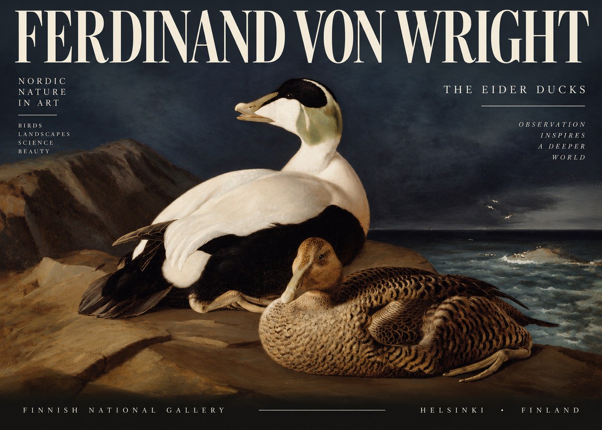 Ferdinand von Wright Eiders on a Rocky Shore No4 - Póster