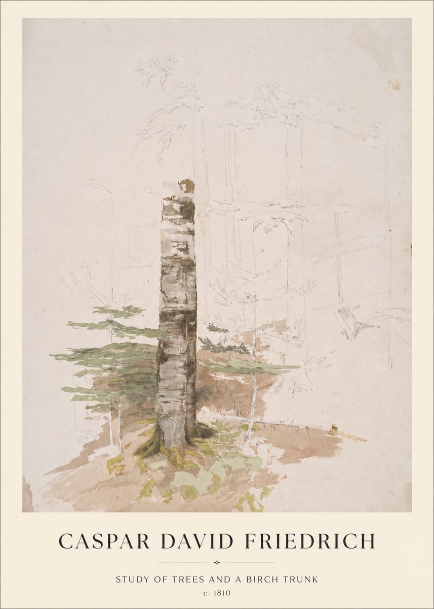 Caspar David Friedrich Study of Trees and a Birch Trunk No1 - Póster