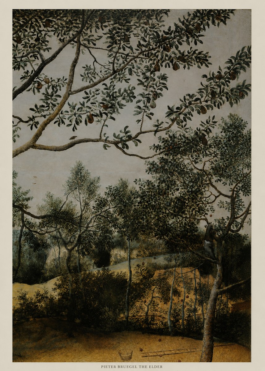 Pieter Bruegel Branch of a Pear Tree No5 - Póster