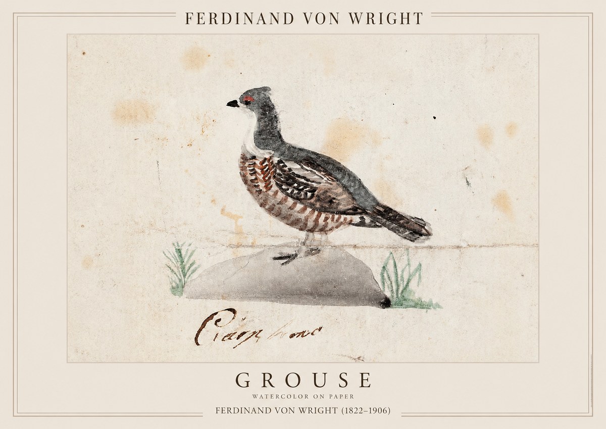 Ferdinand von Wright Grouse No1 - Póster
