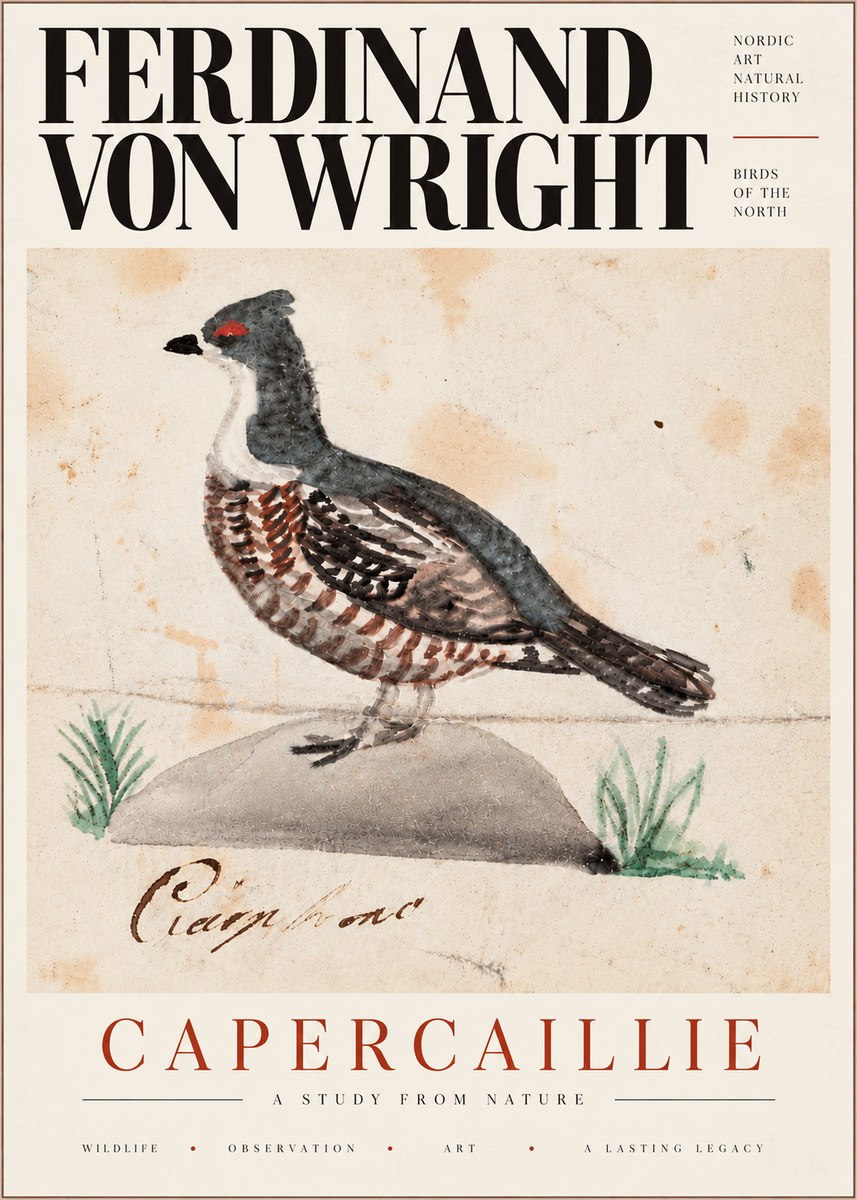 Ferdinand von Wright Grouse No6 - Póster