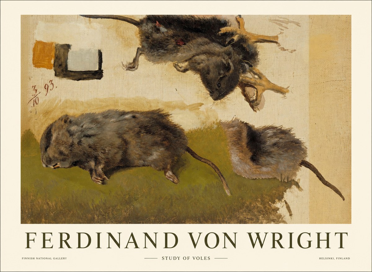 Ferdinand von Wright Studies of Lemmings No2 - Póster