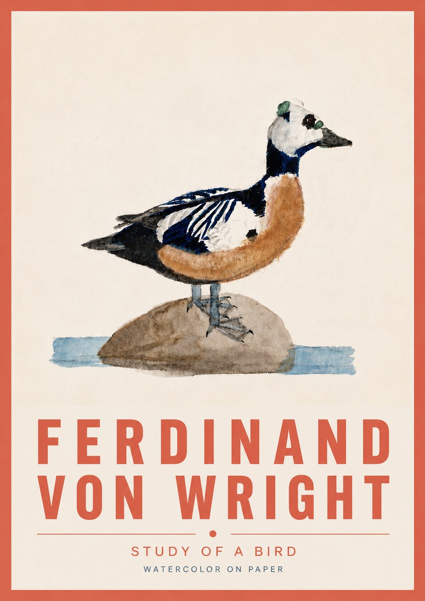 Ferdinand von Wright Study of a Bird No6 - Póster
