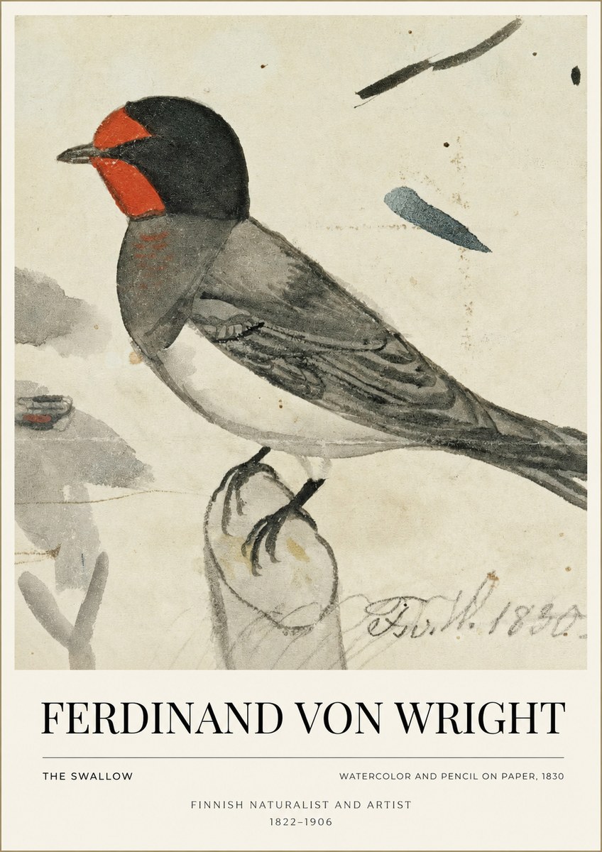 Ferdinand von Wright The Swallow No1 - Póster