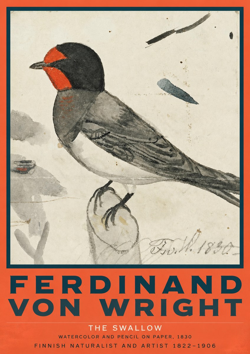 Ferdinand von Wright The Swallow No2 - Póster