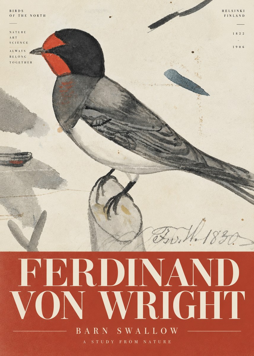Ferdinand von Wright The Swallow No6 - Póster