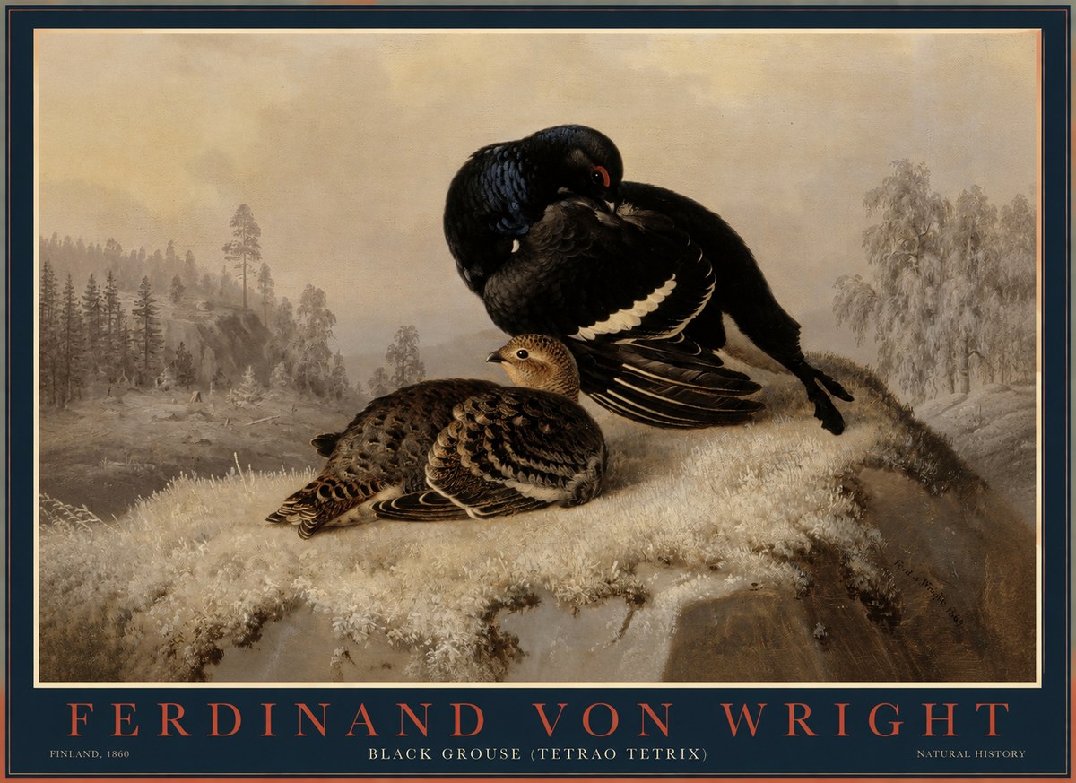 Ferdinand von Wright Black Grouse (Tetrao Tetrix) No1 - Póster