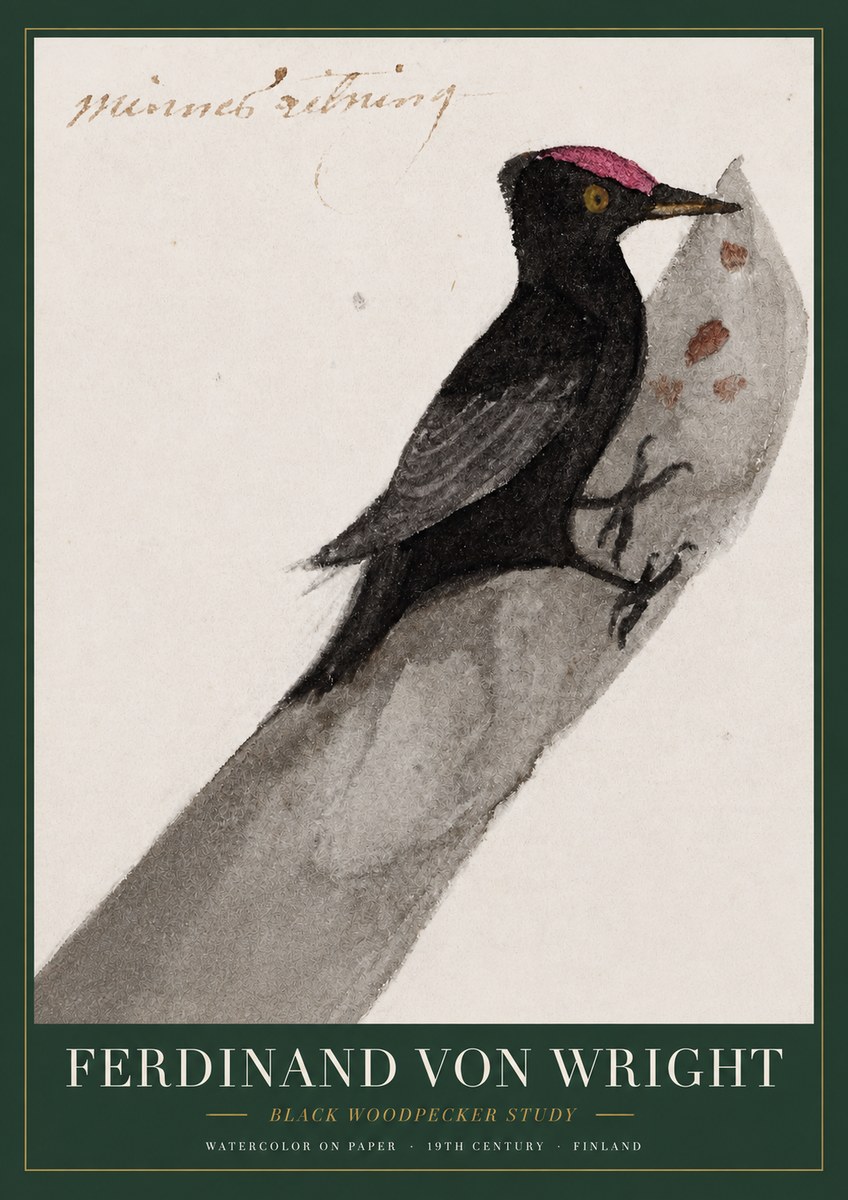Ferdinand von Wright Black Woodpecker Study No3 - Póster
