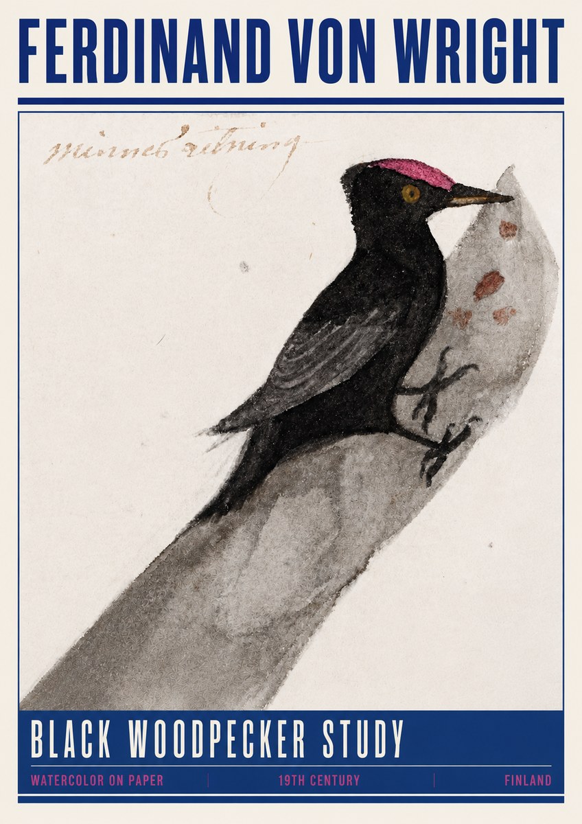 Ferdinand von Wright Black Woodpecker Study No4 - Póster