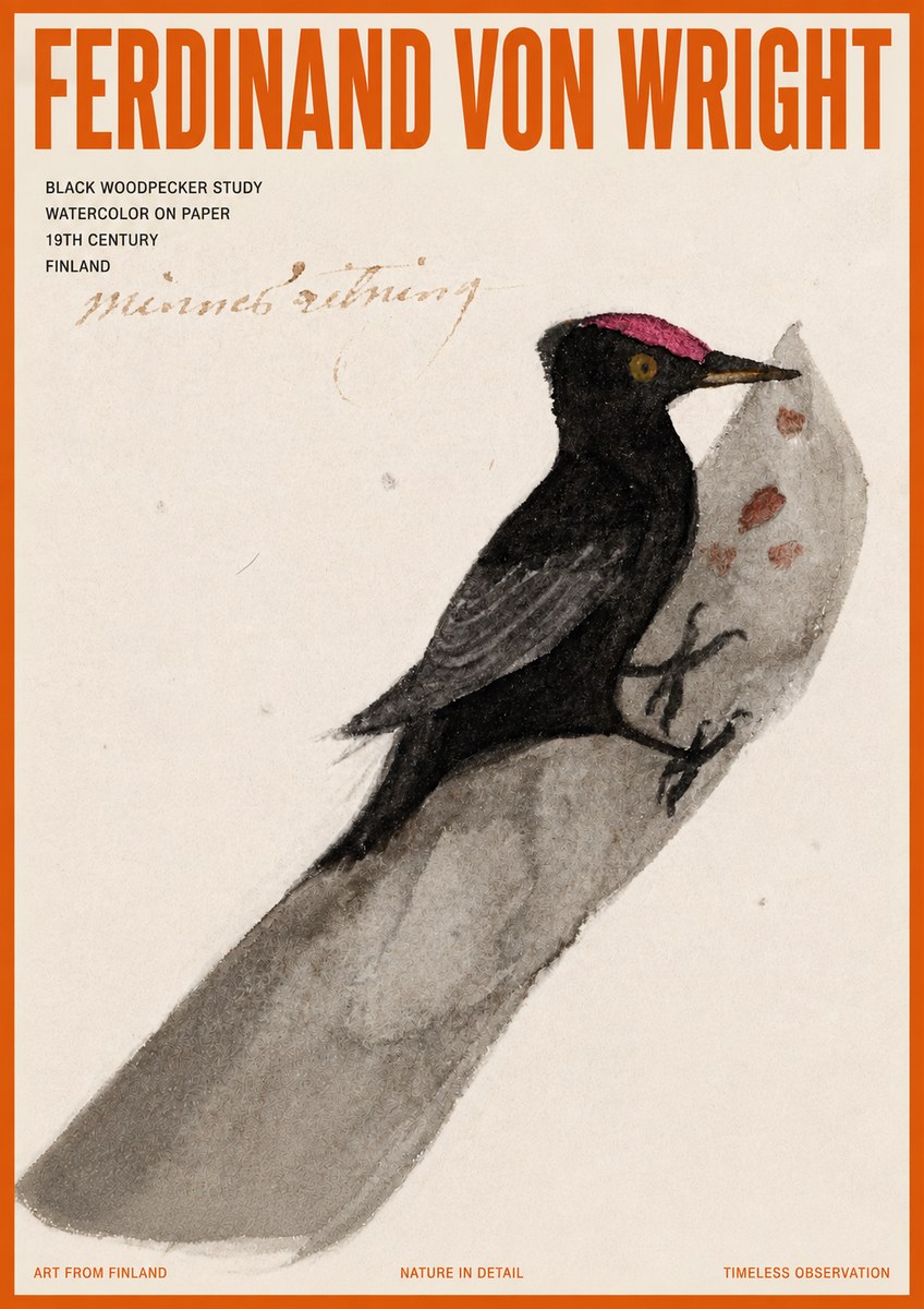 Ferdinand von Wright Black Woodpecker Study No5 - Póster