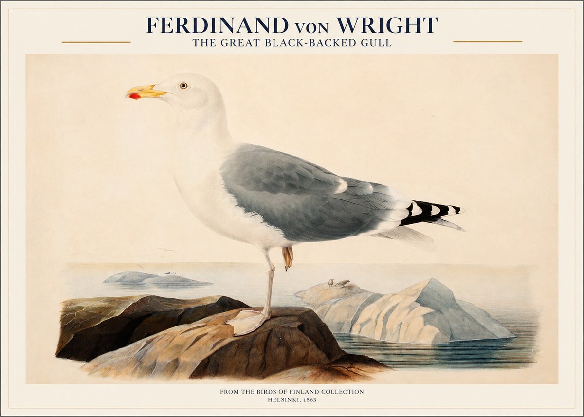 Ferdinand von Wright The Great Black-backed Gull No1 - Póster